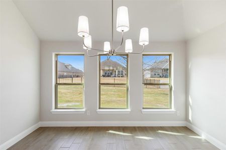 New construction Single-Family house 3719 Tremont Ln, Granbury, TX 76049 null- photo 13 13