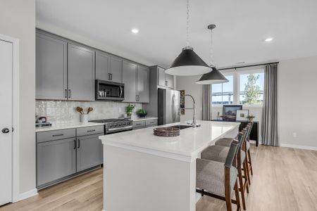 New construction Single-Family house 2019 Bergamot Xing, Chattanooga, TN 37421 plan Daisy H - image