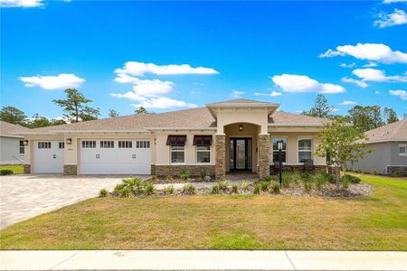 New construction Single-Family house 10050 Sw 106Th Cir, Ocala, FL 34481 - image