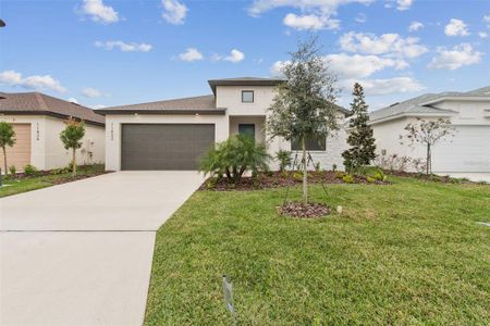 New construction Single-Family house 11822 Moonsail Dr, Parrish, FL 34219 - image