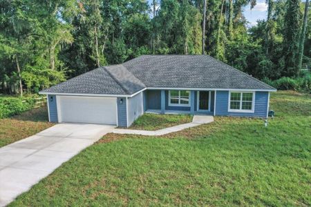New construction Single-Family house 547 W Grapewood Ln, Dunnellon, FL 34434 - image
