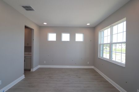 New construction Single-Family house 1787 Drummond Pt, Zephyrhills, FL 33541 Sonoma II- photo 109 109