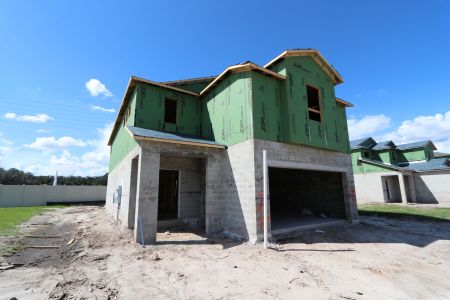 New construction Single-Family house 3039 Misty Marble Dr, Zephyrhills, FL 33540 Castellana- photo 4 4