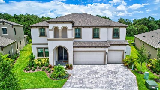 New construction Single-Family house 13223 Twin Bridges Drive, Riverview, FL 33579 - photo 0