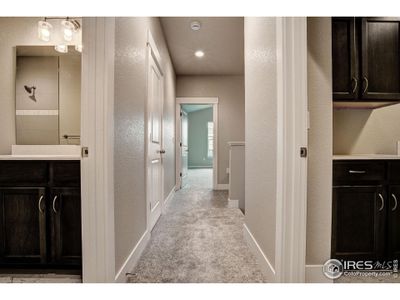 New construction Townhouse house 6233 Vernazza Wy, Unit 3, Windsor, CO 80550 plan Carolina - image 15