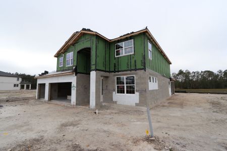 New construction Single-Family house 1787 Drummond Pt, Zephyrhills, FL 33541 Sonoma II- photo 77 77