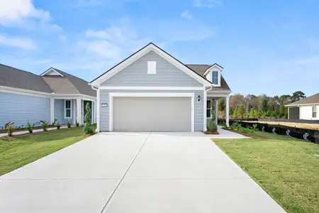 New construction Single-Family house 46 Bull Run Rd, Richmond Hill, GA 31324 plan Contour - image