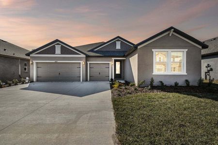 New construction Single-Family house 748 Tierra Dr, Spring Hill, FL 34609 null- photo 0