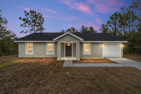 New construction Single-Family house 13299 Se 45Th Avenue, Belleview, FL 34420 LEVY- photo 0