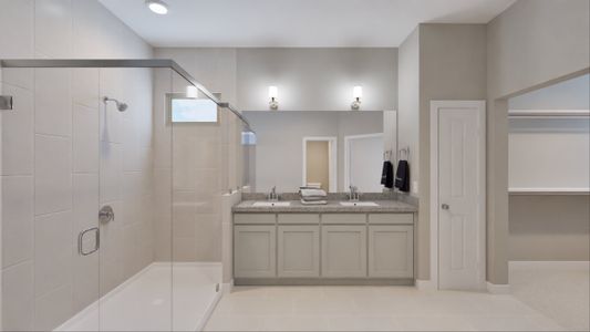 New construction Single-Family house 347 Summer Place Dr, Montgomery, TX 77356 plan Hampton - image 12