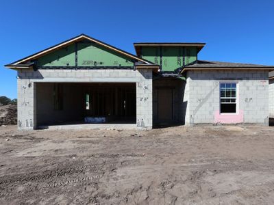 New construction Single-Family house 2925 Berry Coppice Pl, Wimauma, FL 33598 plan Maui - image