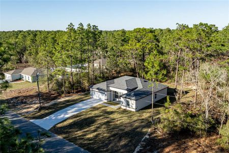 New construction Single-Family house 9333 N Samoa Wy, Citrus Springs, FL 34433 - image