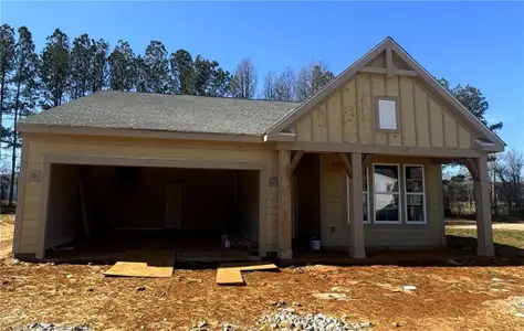 New construction Single-Family house 106 Cherry Glen Way, Euharlee, GA 30145 DaVinci- photo 20 20