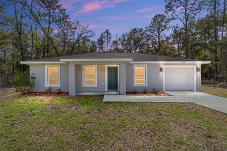 New construction Single-Family house 1825 Sw 150Th Ct, Ocala, FL 34481 - image