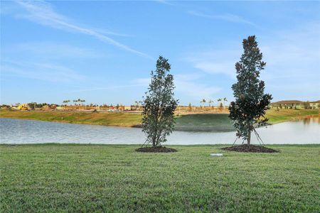 New construction Townhouse house 9144 Gulf Haven Dr, Parrish, FL 34219 Osprey- photo 45 45