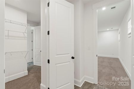 New construction Single-Family house 263 Luray Wy, Unit 444, Rock Hill, SC 29730 plan Atticas - image 15