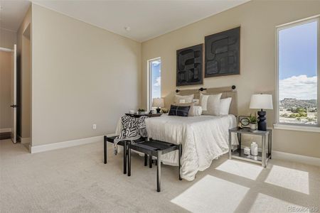 New construction Single-Family house 2011 Grayside Cir, Castle Rock, CO 80109 - image 4