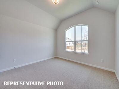 New construction Single-Family house 16525 Boston Ivy Dr, Fort Worth, TX 76247 plan 4102 - image 9