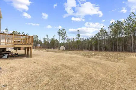 New construction Single-Family house 140 Baker Farm Dr, Youngsville, NC 27596 HAYDEN - DRHE- photo 28 28