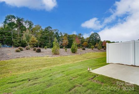 New construction Townhouse house 14837 Tamarack Dr, Unit 137/Frasier, Charlotte, NC 28278 Frasier- photo 23 23