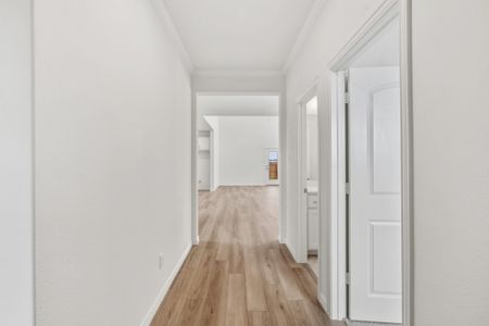 New construction house 276 Bassett Hall Rd, Fate, TX 75189 plan Willow - image 13