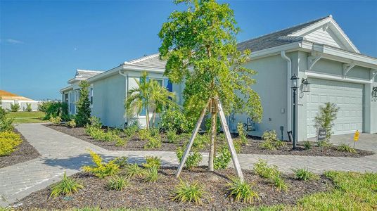 New construction Single-Family house 16223 San Donato Place, Bradenton, FL 34211 - photo 0