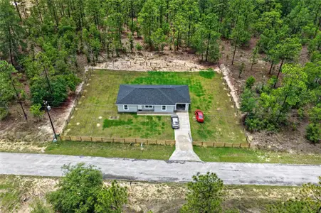 New construction Single-Family house 452 Nw Crocus Ln, Dunnellon, FL 34431 - image