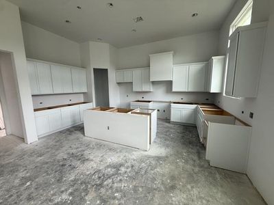 New construction Single-Family house 127 Riparian Elms Rd, Bertram, TX 78605 - image 19