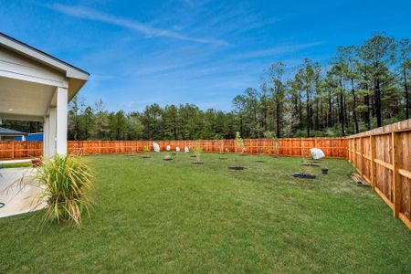 New construction Single-Family house 12015 Rockview Dr, Conroe, TX 77306 - image 3