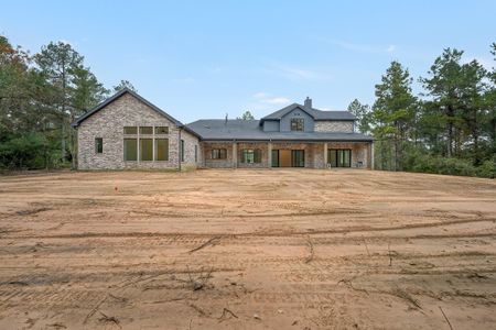 New construction Single-Family house 4727 Saguaro Rd, Montgomery, TX 77316 - image 19