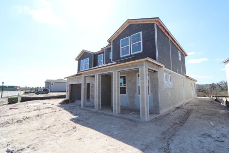 New construction Single-Family house 5691 Maydale Ave, Wesley Chapel, FL 33545 Santa Monica- photo 54 54