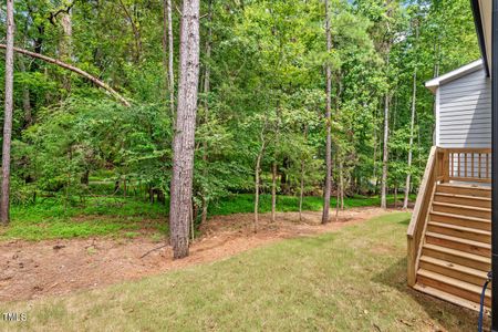 New construction Single-Family house 115 Sanderway Drive, Chapel Hill, NC 27516 - photo 59 59