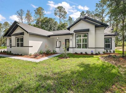 New construction Single-Family house 1226 Shorecrest Circle, Clermont, FL 34711 - photo 0