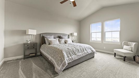 New construction Townhouse house 6248 Vernazza Wy, Windsor, CO 80550 plan Belmar - image 17