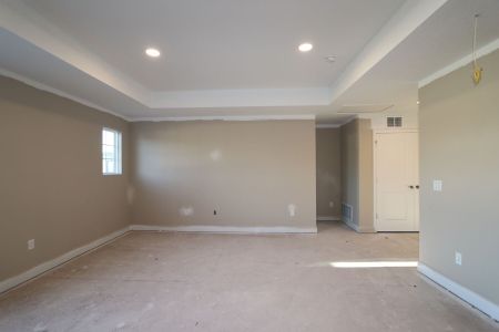 New construction Single-Family house 20125 Oriana Loop, Land O' Lakes, FL 34638 Santina II- photo 134 134