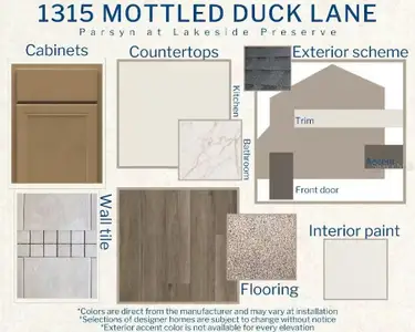 New construction Single-Family house 1315 Mottled Duck Ln, Lakeland, FL 33811 plan Parsyn - image 17
