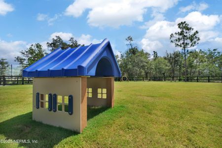 New construction Single-Family house 415 Juniper Hills Dr, St. Johns, FL 32259 Antigua- photo 15 15