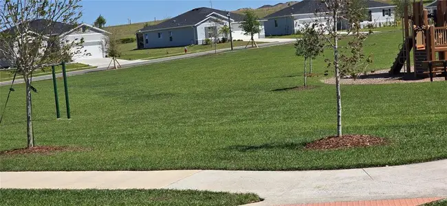 New construction Single-Family house 1446 Geranium Dr, Mascotte, FL 34753 - image