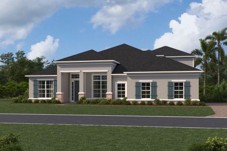New construction Single-Family house 17012 Overstory Rd, Orlando, FL 32820 plan Brookhaven Sl - image