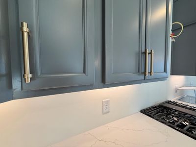 New construction Single-Family house 519 Ivy Green Ln, Summerville, SC 29486 plan The Wake - image 10