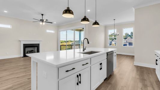 New construction Single-Family house 7428 Twill Heights Lp, Fairview, TN 37062 plan Fuller - image 16