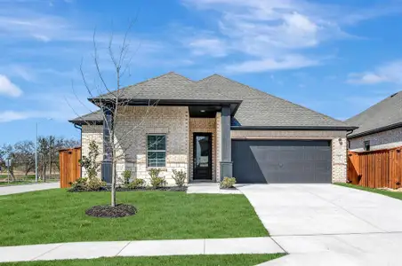 New construction Single-Family house 172 Summer Rain Wy, Newark, TX 76071 plan Goldenrod II - image