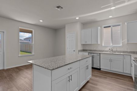 New construction Single-Family house 10219 Cactus Hls, San Antonio, TX 78254 plan Sandalwood - image 17