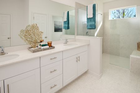 New construction Single-Family house 9008 Wildlight Trl, Wildwood, FL 34785 plan Hampton II - image 12