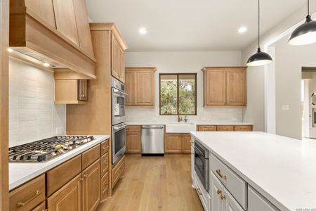 New construction Single-Family house 429 Eider Cv, Spring Branch, TX 78070 - image 17