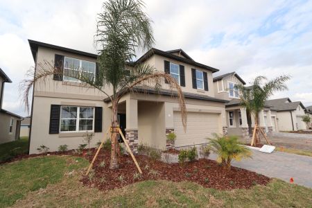 New construction Single-Family house 4877 Foxglove Cir, Lakeland, FL 33811 Alenza- photo 123 123