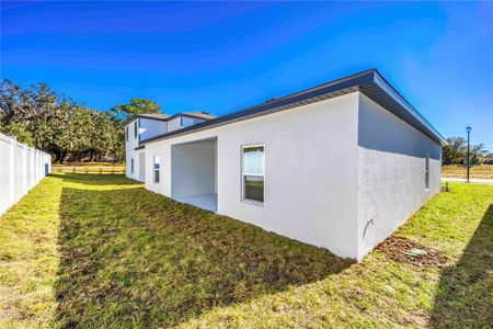 New construction Single-Family house 13486 Leaping Water Way St, Astatula, FL 34705 null- photo 18 18