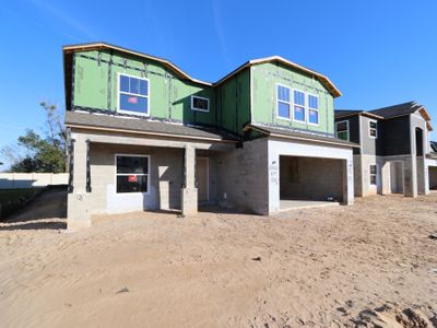 New construction Single-Family house 12146 Hilltop Farms Dr, Dade City, FL 33525 Cabo- photo 47 47