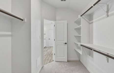 New construction Single-Family house 516 Billowing Cloud Cv, Georgetown, TX 78633 plan Lochridge - image 13