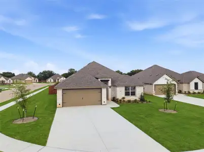 New construction Single-Family house 816 Haley St, Springtown, TX 76082 - image
